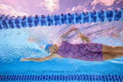 Amanzi - Feline Wild Ladies Kneelength -Funky Trunks Store amanzi feline wild ladies kneelength 3