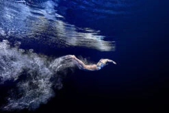 Funkita - Head First - Ladies Diamond Back One Piece -Funky Trunks Store funkita head first ladies diamond back one piece 10