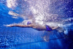 Funky Trunks - Rusted - Mens Training Jammers 18 Funky Trunks - Rusted - Mens Training Jammers -Funky Trunks Store funky trunks rusted mens training jammers 8