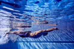 Funky Trunks - Rusted - Mens Training Jammers 19 Funky Trunks - Rusted - Mens Training Jammers -Funky Trunks Store funky trunks rusted mens training jammers 9