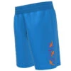 Nike - Logo Lap 6" Volley Short (Photo Blue) -Funky Trunks Store nike logo lap 6 volley short photo blue 1