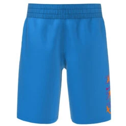 Nike - Logo Lap 6" Volley Short (Photo Blue) -Funky Trunks Store nike logo lap 6 volley short photo blue 3